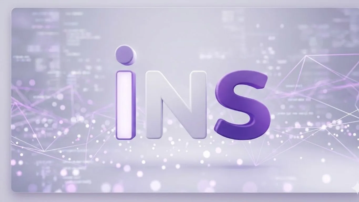 i̇ns